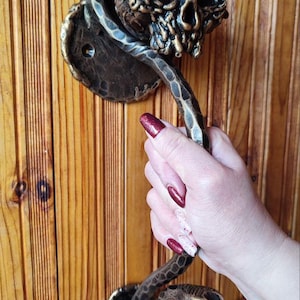 Op de afbeelding: Decoratieve bronzen deurklink met een schedel- en slangenmotief. De klink is bevestigd aan een houten deur met verticale planken. De schedel heeft gedetailleerde kenmerken en de slang kronkelt rond de klink, wat een unieke, gotische esthetiek creëert.