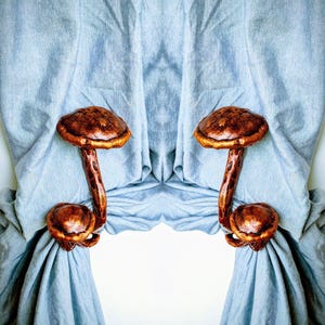 May include: Two decorative mushroom-shaped curtain tiebacks. The tiebacks are made of a bronze-colored material and feature a large mushroom cap and stem. The curtains are a light blue color, and the background is white.