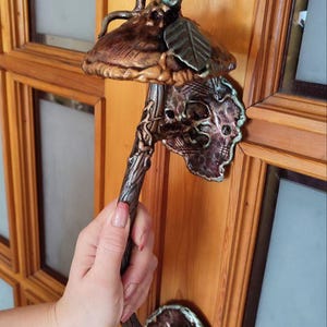 May include: Ornate bronze door handle with a mushroom-like design. The handle features intricate details, including a leaf and a textured surface. The handle is mounted on a wooden door with glass panels.