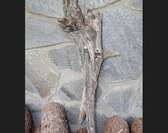 Reclaimed Driftwood Sculpture Decoration, Sculptural Driftwood Artistic Statement Piece, Event Display Driftwood