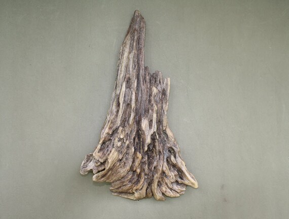 Driftwood Wall Art Wall Hanging Sculpture Etsy