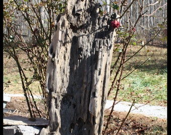 Reclaimed Driftwood Sculpture Decoration, Sculptural Driftwood Artistic Statement Piece, Event Display Driftwood