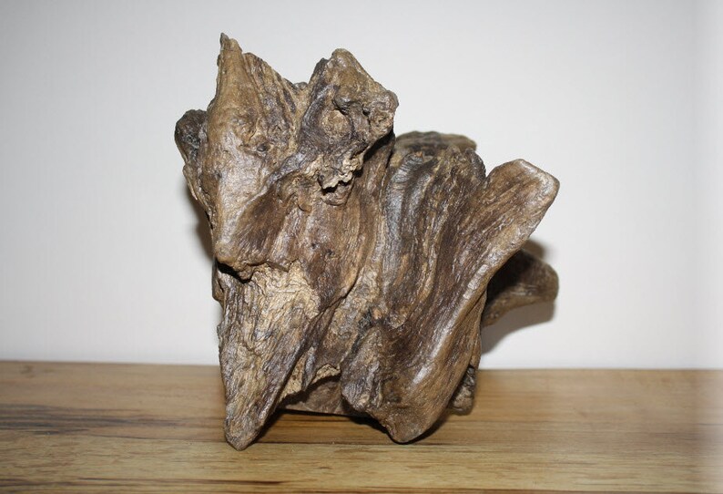 Natural Driftwood Art Piece Wood sculpture Driftwood Etsy