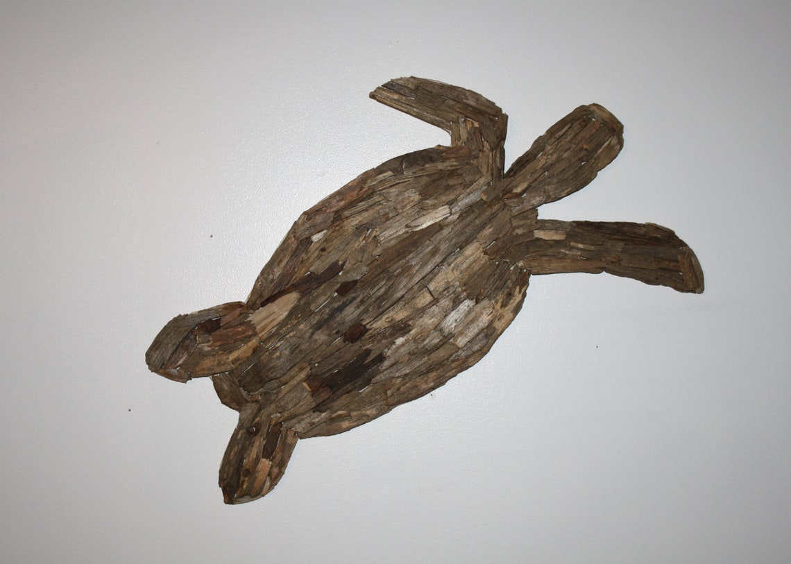Turtle Handmade Driftwood Wall Art Driftwood Turtle Wall Etsy