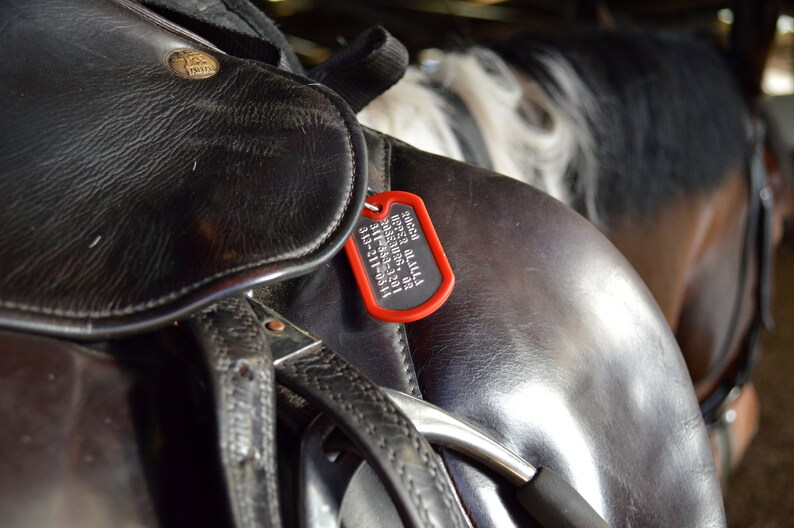 Toughtags Horse ID tag bridle tag horse name tag halter Etsy