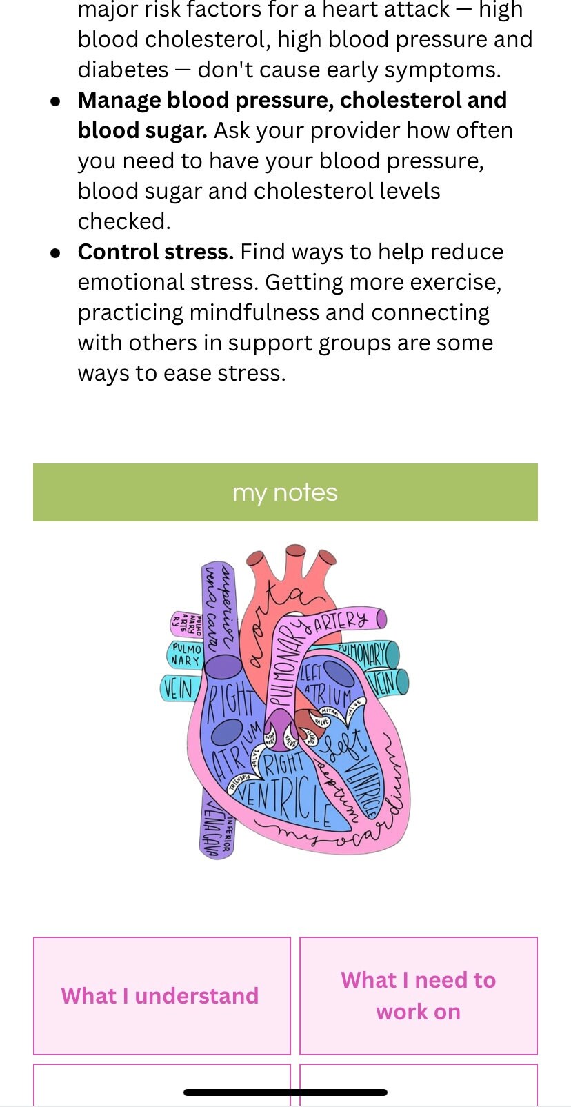 Nursing Notes Outline - Etsy