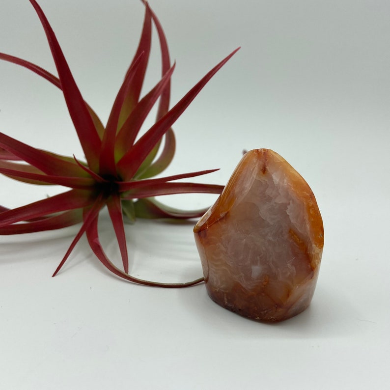 Chakras Reiki Spiritual Metaphysical 1.99\u201d Adorable Baby Carnelian Flame #CRNF-07 Energy Crystal Gemstone Carnelian Flame