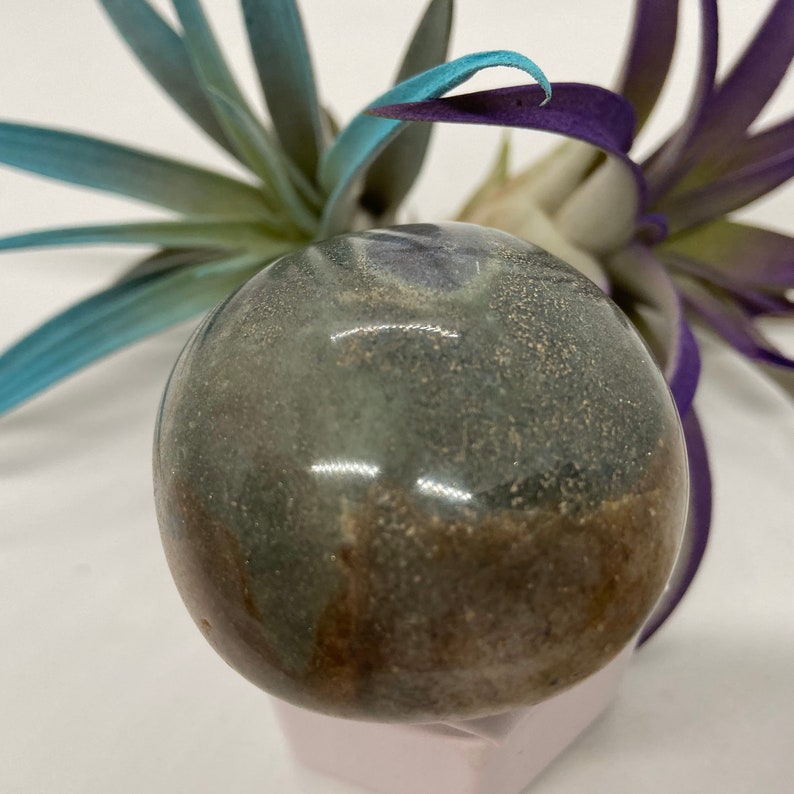 Stunning Ocean Jasper #70 Crystal Gemstone Palm Stone Crystal Healing Ocean Jasper Gratitude Happiness Meditation Love