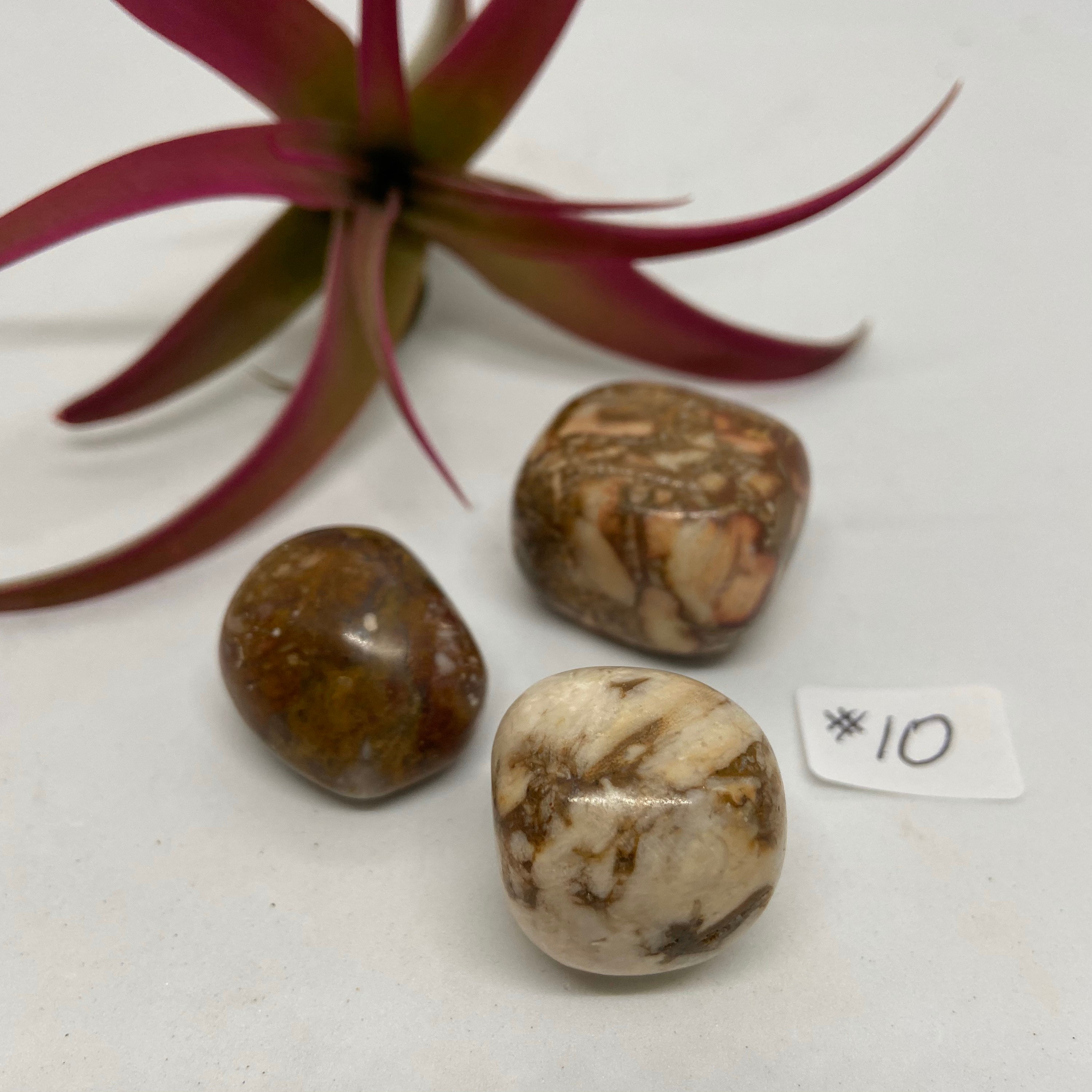 Set/3 Pieces Very Rare Rose Jasper Polished Crystal Gemstone Etsy