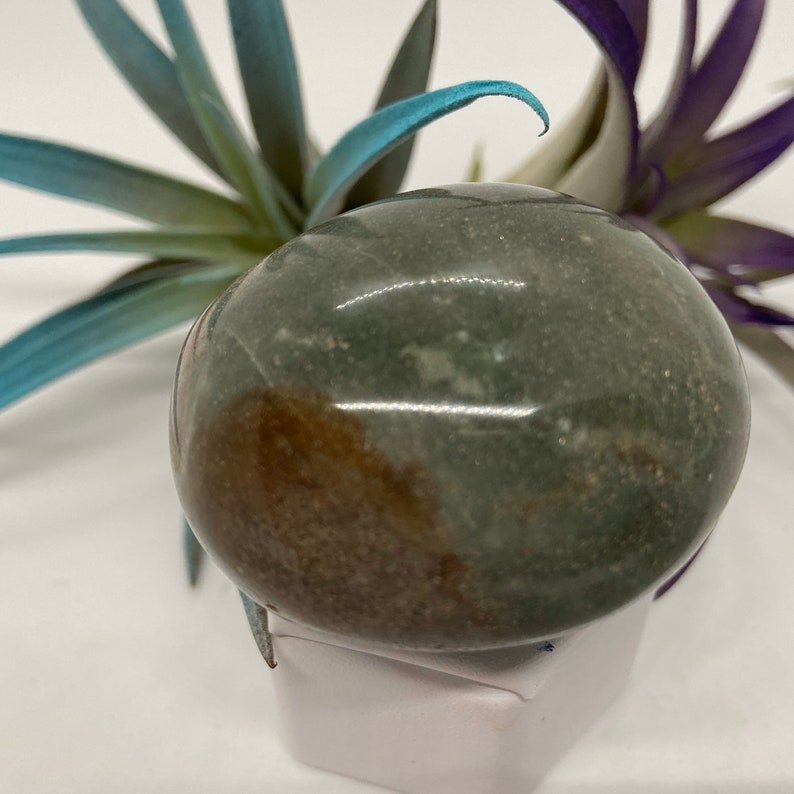 Stunning Ocean Jasper #70 Crystal Gemstone Palm Stone Crystal Healing Ocean Jasper Gratitude Happiness Meditation Love