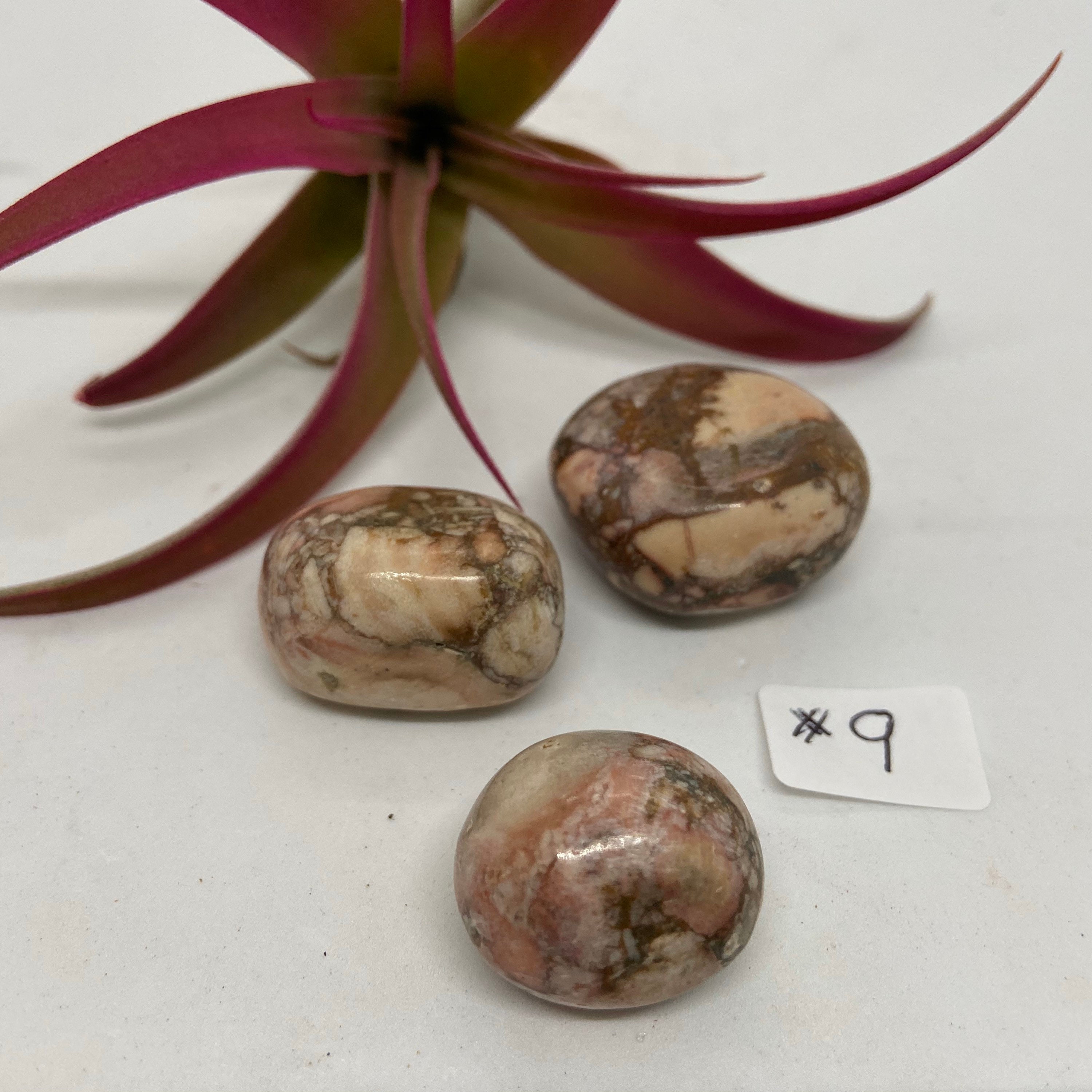 Set/3 Pieces Very Rare Rose Jasper Polished Crystal Gemstone Etsy