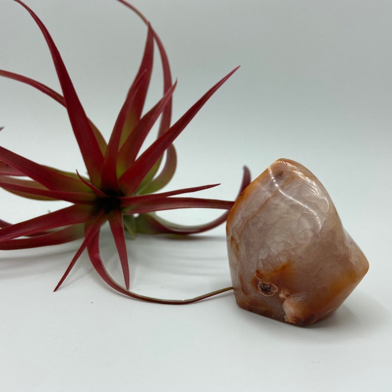 Chakras Reiki Spiritual Metaphysical 1.99\u201d Adorable Baby Carnelian Flame #CRNF-07 Energy Crystal Gemstone Carnelian Flame