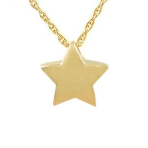 May include: A gold chain necklace with a small, solid gold star pendant.