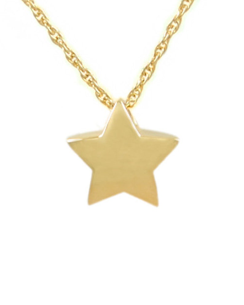 May include: A gold chain necklace with a small, solid gold star pendant.