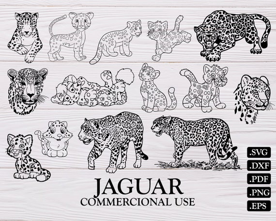Jaguar Svg Jaguars Svg Jaguar Silhouette Leopard Svg Etsy