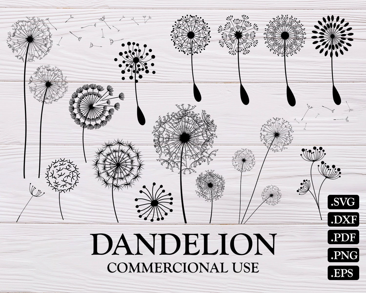 Free Free Dandy Lion Svg 423 SVG PNG EPS DXF File