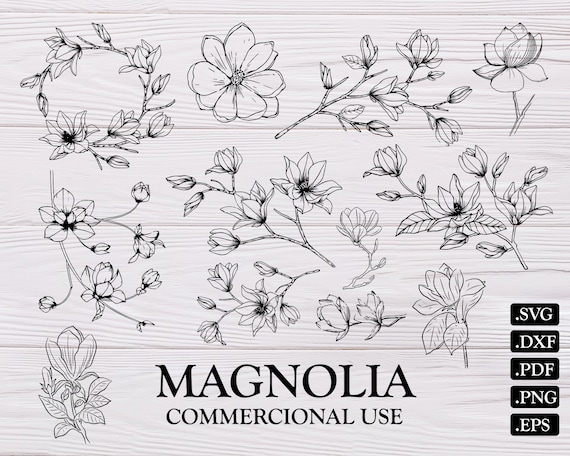 Download MAGNOLIA SVG magnolia flower flower svg magnolia cut file ...