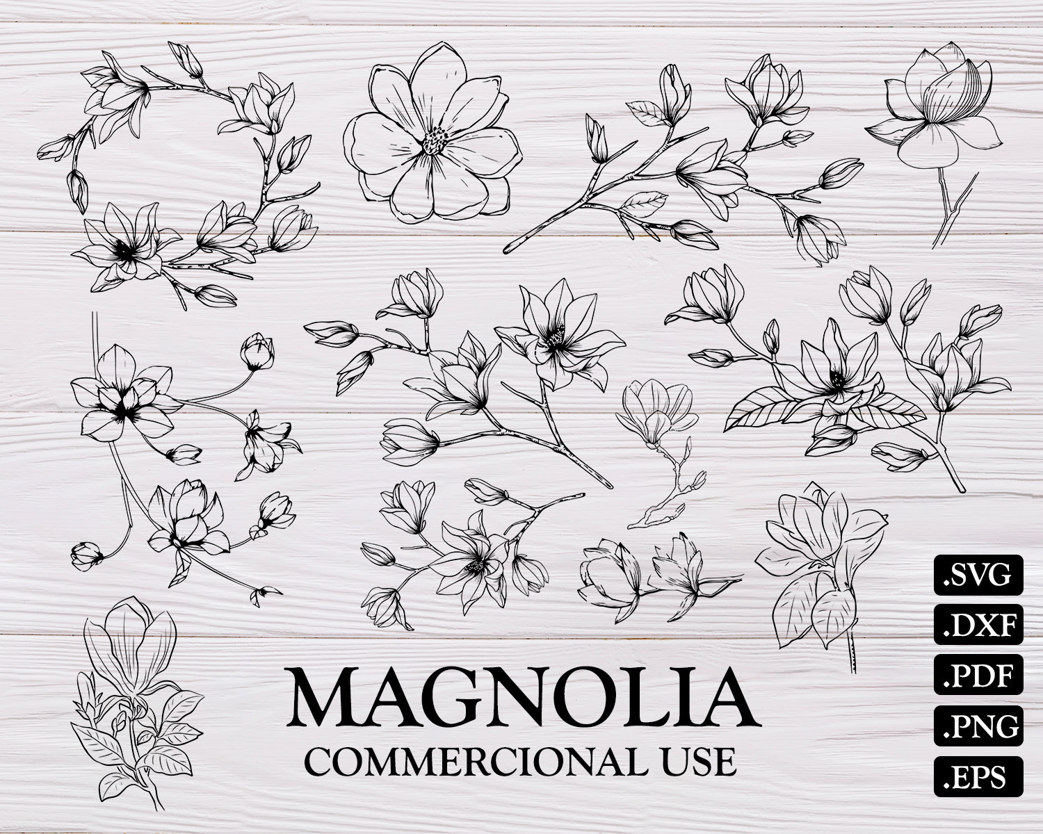 Free 156 Magnolia Flower Svg Free SVG PNG EPS DXF File - Free SVG Cut Files