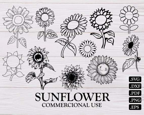 Download SUNFLOWER SVG flower svg sunflower clipart sunflower | Etsy