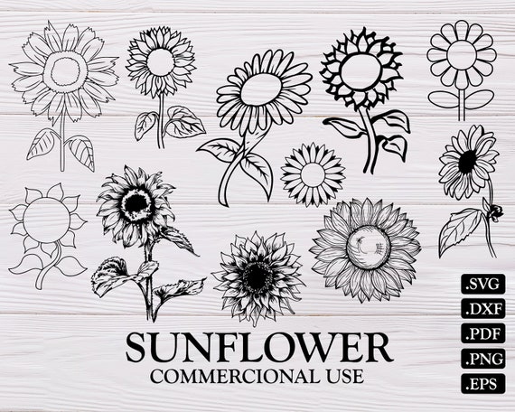 Free Free 70 Silhouette Sunflower Monogram Frame Svg Sunflower Svg SVG PNG EPS DXF File