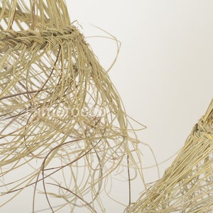 May include: Two woven baskets made from natural materials, with a close-up view of the intricate weaving pattern.