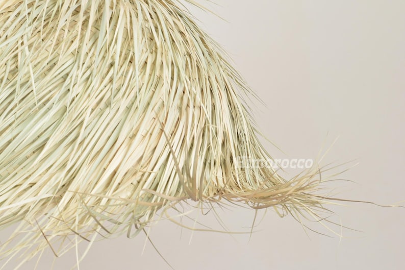 K&ouml;nnte beinhalten: Nahaufnahme eines Lampenschirms aus Naturfaser. Der Lampenschirm besteht aus langen, d&uuml;nnen, hellfarbigen Str&auml;hnen, m&ouml;glicherweise Stroh oder getrocknetem Gras, die nach au&szlig;en strahlen. Die Textur wirkt rau und organisch, mit einem leicht unebenen Rand.