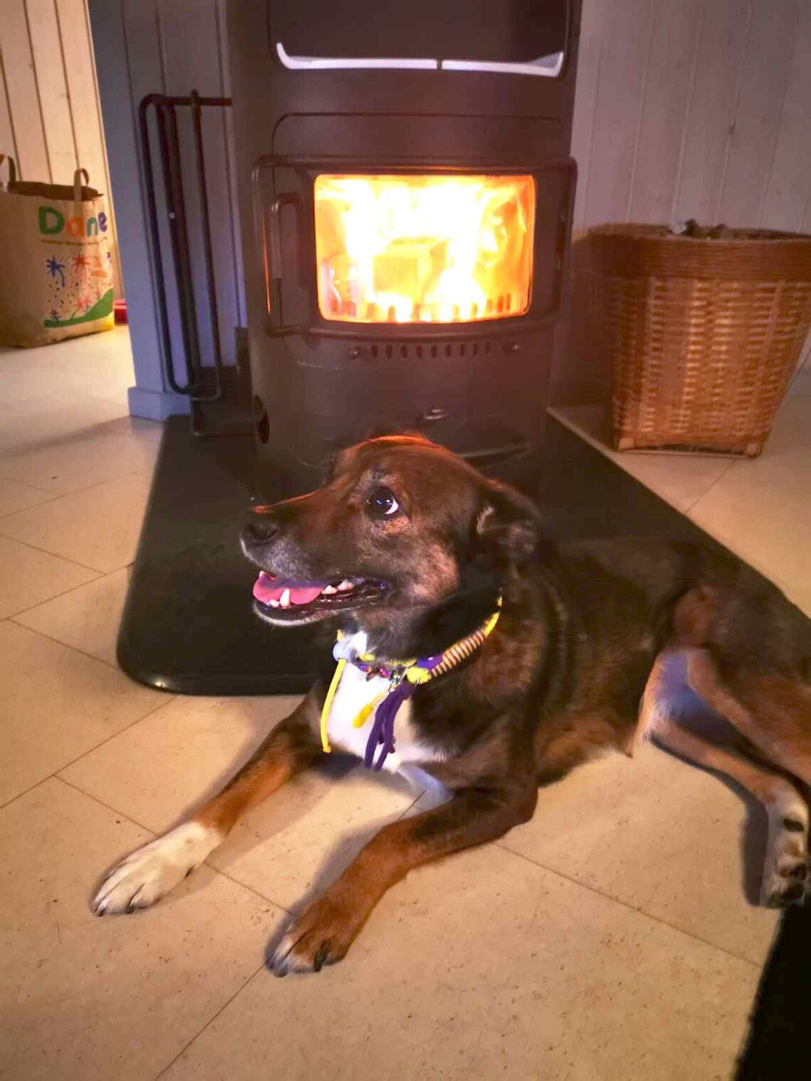 LWBMG Kurze Hundeleine Aus Leder – 30,5 Cm Für Training Und Spaziergänge Mit Großen Hunden