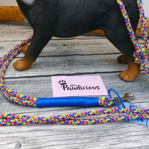 Könnte beinhalten: Eine farbenfrohe Hundeleine mit einem geflochtenen Regenbogenmuster. Die Leine hat einen blauen Griff und einen silbernen Verschluss. Eine kleine rosa Karte mit dem Text "Libra Pawlicious" ist ebenfalls sichtbar.