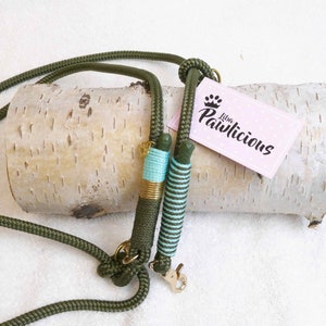 May include: A green rope dog leash with turquoise and gold accents. The leash is coiled around a birch log. The brand name "Live Pawlicious" is on a pink tag.