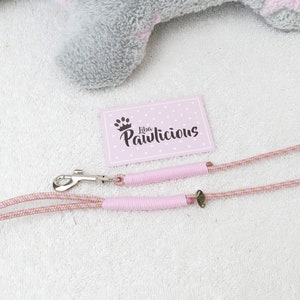 Op de afbeelding: Roze en gouden hondenriem met een zilveren clip en een roze label met de tekst "Lila Pawlicious".