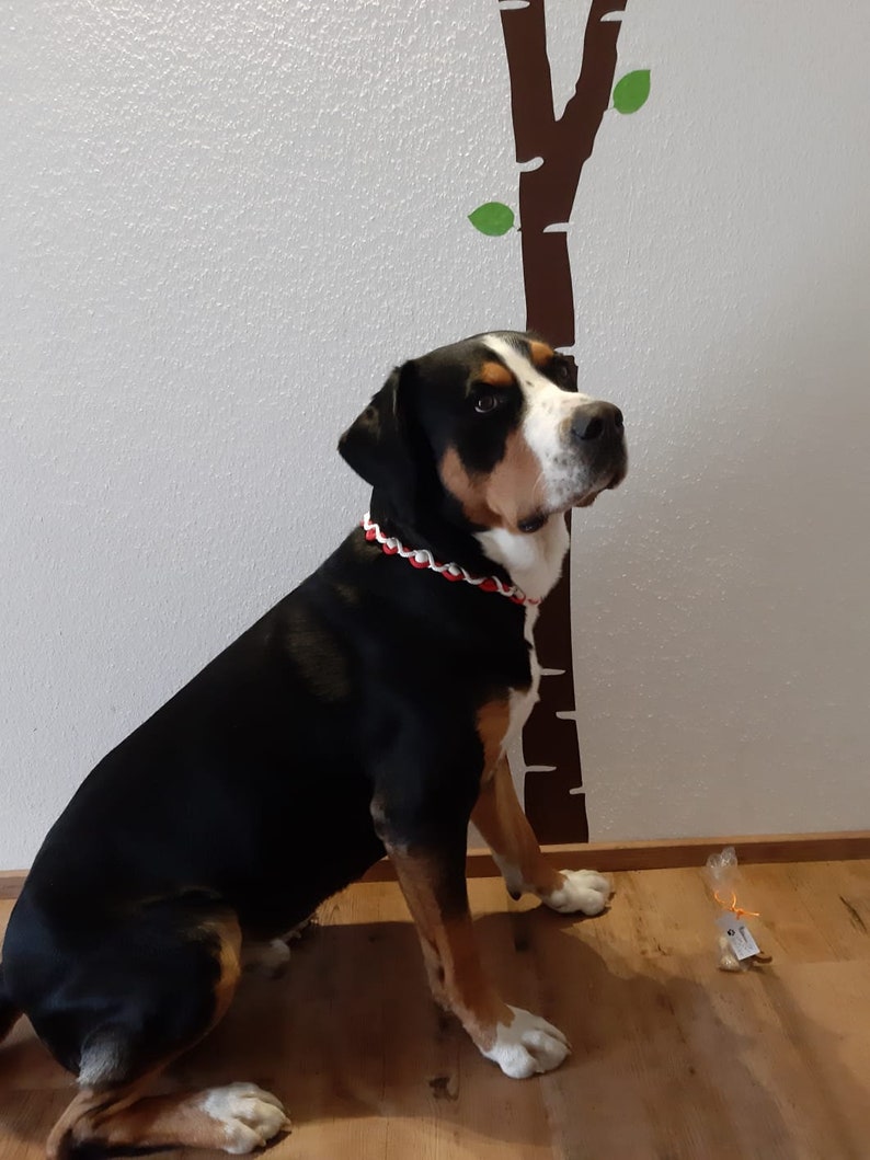 Zeckenband Zeckenschutz mit EM Keramik für Hunde Etsy