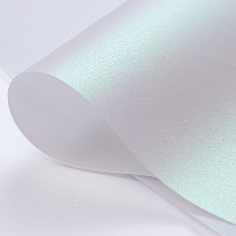 translucent paper headshots translucent paper headshots