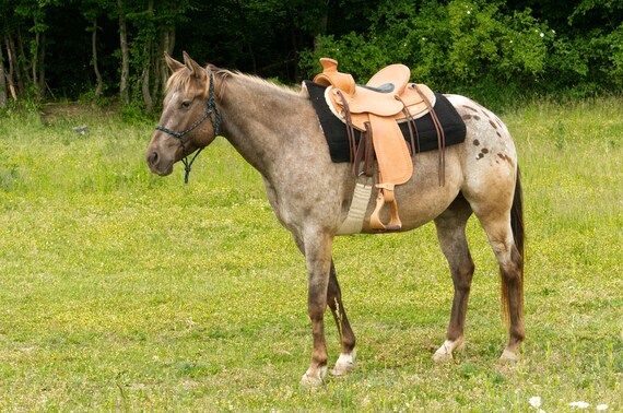Sangle De Cinch Weaver 27" Mélange Mohair - Pour équitation Western, Neuve