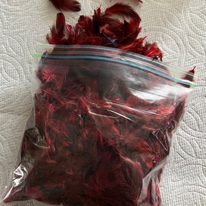 Tiny red feathers
