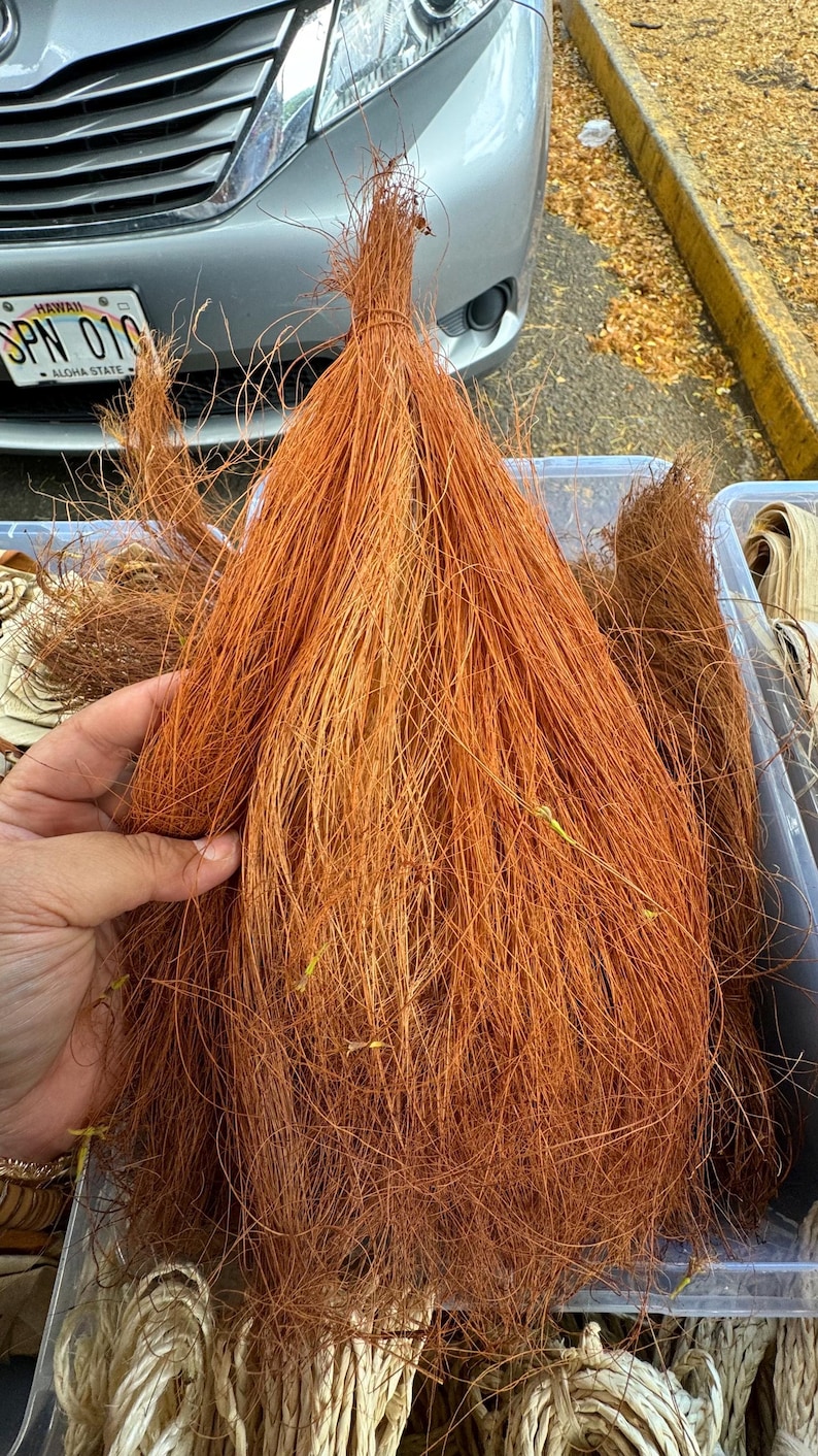 May include: A large bundle of natural brown fibers, likely coconut coir, in a clear plastic container. The fibers are long and thin, and they are arranged in a loose, fluffy pile.