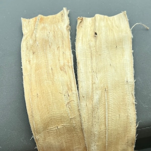 Authentic Hard Wauke Bark For Tapa Kapa Siapo Hand Beaten Cloth Paper Mulberry From Tonga Rare Cultural Craft Supply
