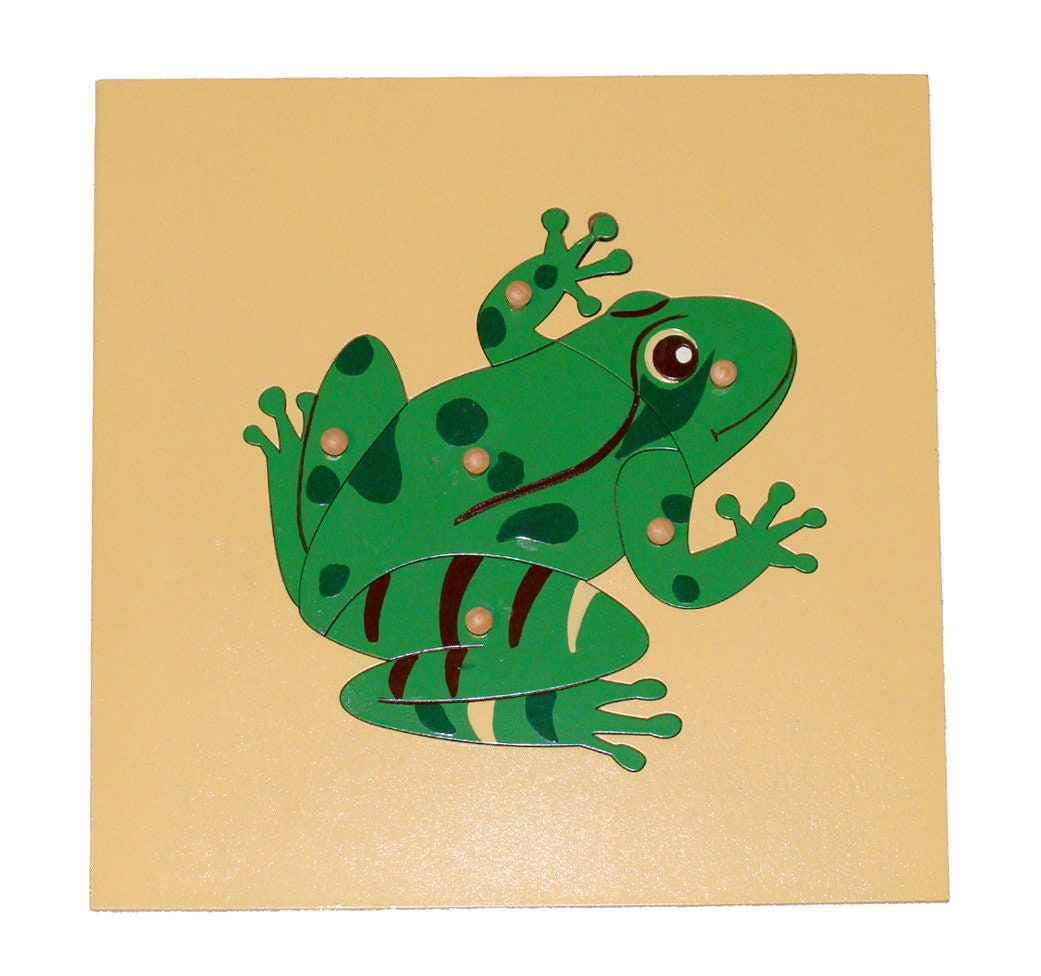 Frog puzzle Montessori Material | Etsy
