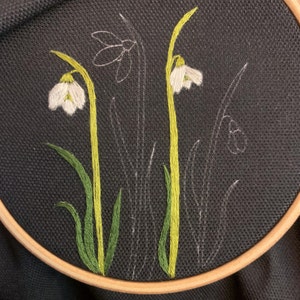 Snowdrop Embroidery Kit Pre-printed Fabric DMC Threads Perfect for Beginners image 4