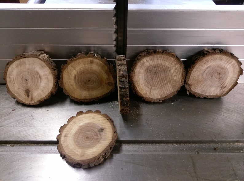 Wood Craft Rounds-set of Six-craft Supplies - Etsy