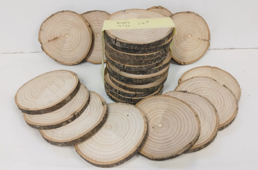 Wood Slices Round Maple Wood 12 Pieces - Etsy
