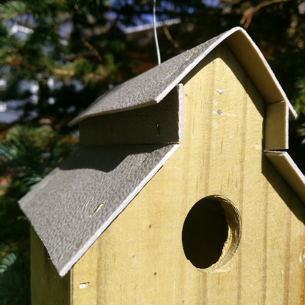 Bird Houses for Sale Etsy
