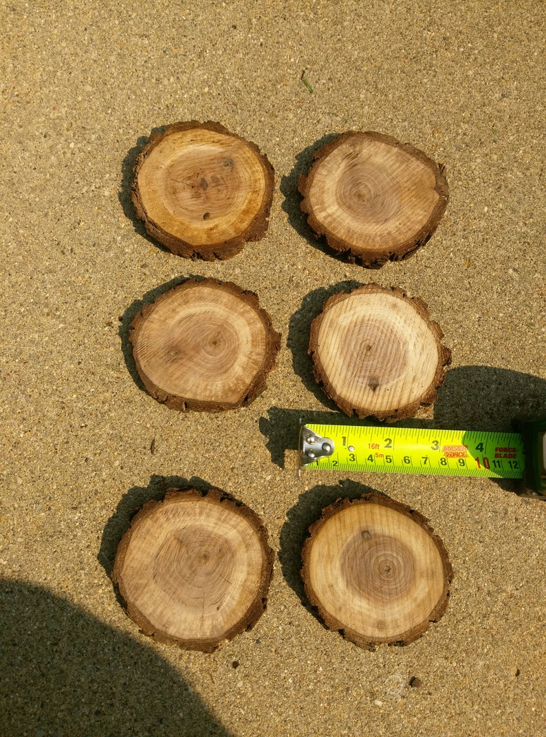 Wood Craft Rounds-set of Six-craft Supplies - Etsy