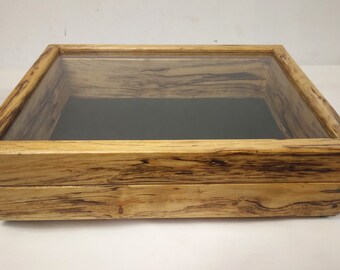 Spalted Black Ash Display Case / Shadow Box