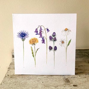 Carte de voeux fleurs sauvages • Intérieur vierge