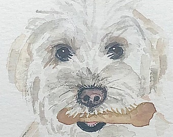 Watercolour Pet Portrait