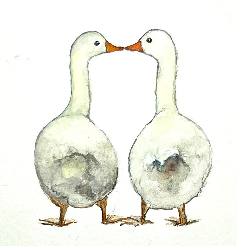 Ducks, love is in the air Happy Anniversary Valentines For Him For Her Love Sending Love Send Love For Friends For Family image 2