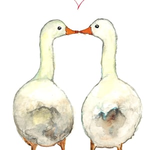 Ducks, love is in the air • Happy Anniversary • Valentines • For Him • For Her • Love • Sending Love • Send Love • For Friends • For Family