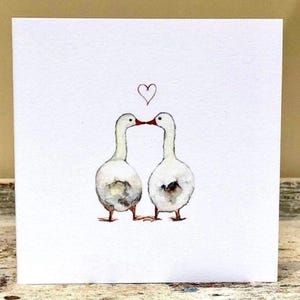 Enten, Liebe liegt in der Luft • Happy Jubiläum • Valentinstag • Für Ihn • Für Sie • Liebe • Liebe senden • Liebe senden • Für Freunde • Für Familie