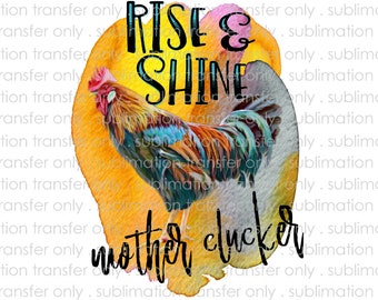 Not Today Mother Clucker Ready to Press Sublimation Transfer Rooster ...
