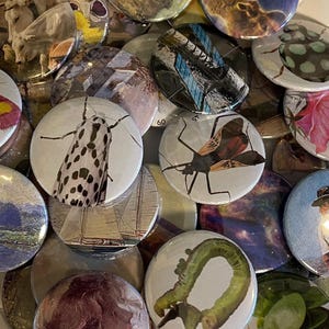 May include: A collection of round, colorful buttons with various images, including a moth, a bug, a spaceship, a flower, and a caterpillar. The buttons are all different sizes and have a white background.